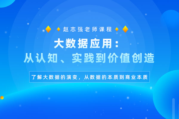 大数据应用：从认知、实践到价值创造