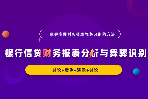 银行信贷财务报表分析与舞弊识别