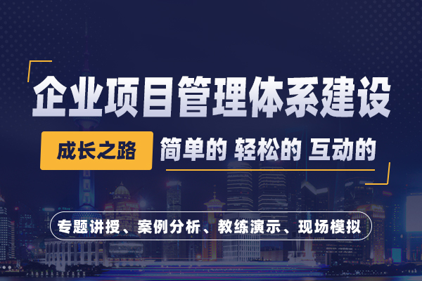 企业项目管理体系建设