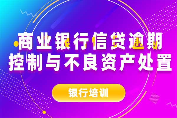 商业银行信贷逾期控制与不良资产处置