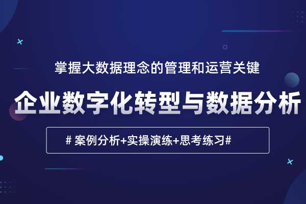 企业数字化转型与数据分析