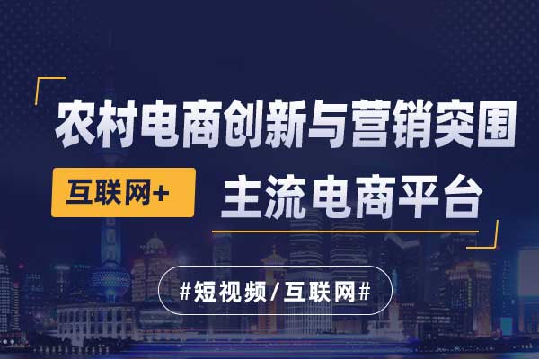 互联网+农村电商创新与营销突围