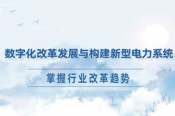 数字化改革发展与构建新型电力系统