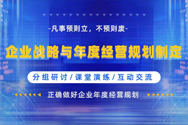 企业战略与年度经营规划制定