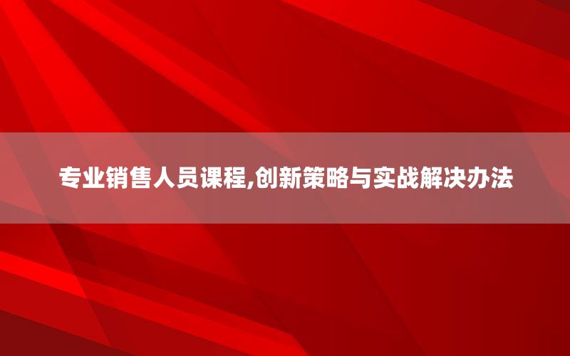 专业销售人员课程,创新策略与实战解决