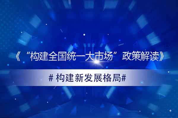 《“构建全国统一大市场”政策解读》