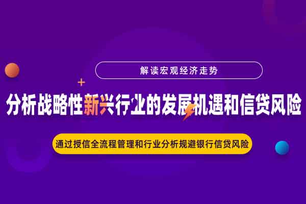 分析战略性新兴行业的发展机遇和信贷风险