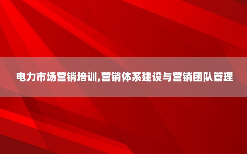 电力市场营销培训,营销体系建设与营销
