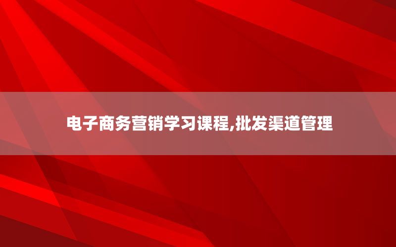 电子商务营销学习课程,批发渠道管理