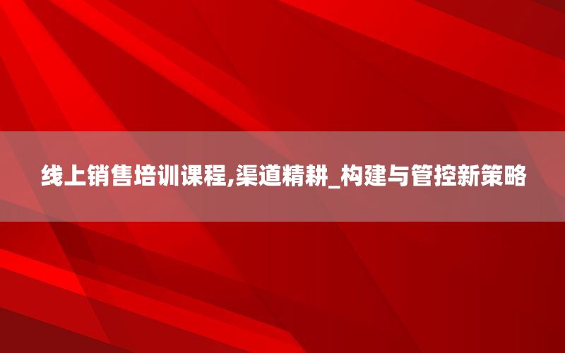 线上销售培训课程,渠道精耕_构建与管控新