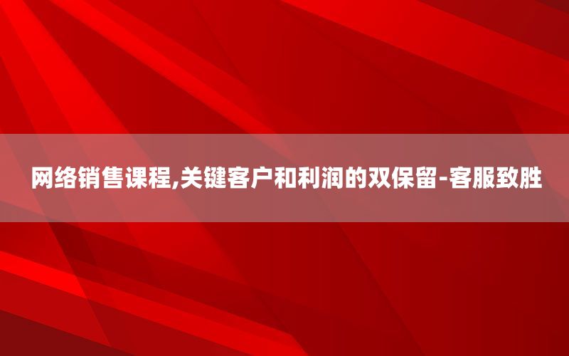 网络销售课程,关键客户和利润的双保留