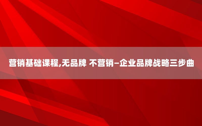 营销基础课程,无品牌 不营销—企业品