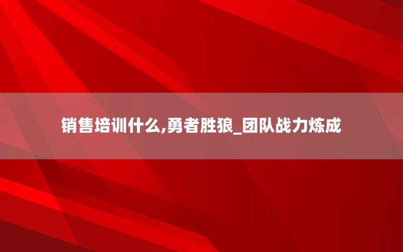 销售培训什么,勇者胜狼_团队战力炼成
