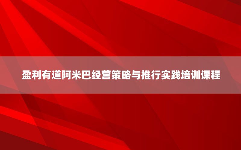 盈利有道阿米巴经营策略与推行实践培训