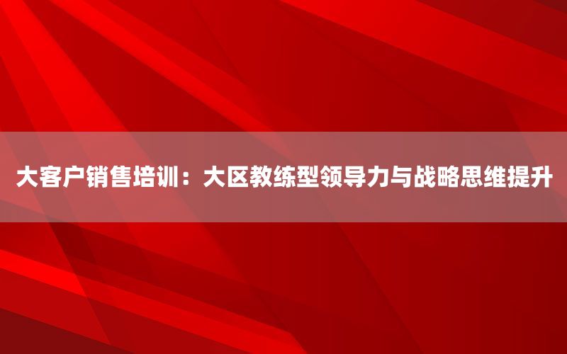 大客户销售培训：大区教练型领导力与战略思