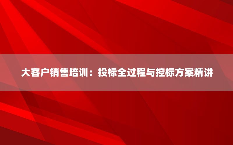大客户销售培训：投标全过程与控标方案精讲