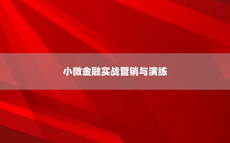 小微金融实战营销与演练